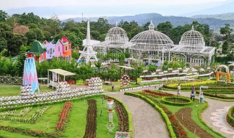 Wisata Taman Bunga Celosia Membuatmu Serasa di Mancanegara