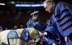 Anjing Pelayan Menerima Ijazah Diploma Bersama Pemilik saat Kelulusan Perguruan Tinggi