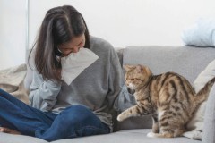 Alergi Sama Kucing? Tenang Aja, Ilmuwan Sudah Menemukan Vaksinnya