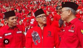 Lampung Boyong 4.500 Banteng Puncak Bulan Bung Karno