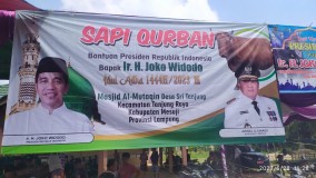 Sapi Kurban Presiden Jokowi Telah Diterima Kades Sritanjung, Mesuji