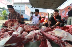PKS Lampung Bagikan 1,8 Juta Paket Daging Kurban