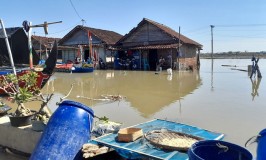 Pemukiman Warga Karangsari Kendal Kembali Terdampak Banjir Rob