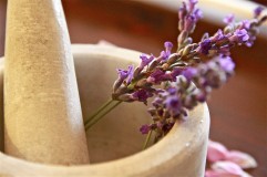 Teh Lavender: 10 Manfaat Kesehatan dan Efek Samping yang Harus Diwaspadai