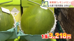 Petani Jepang Kembangkan Buah Melon Hybrid dengan Rasa Manis Melon Dicampur Kecutnya Lemon