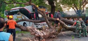 Begini Kronologi Pohon Tumbang yang Menimpa Bus Eka di Raya Ngawi-Maospati Magetan, Jawa Timur