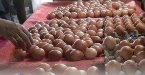 Bukan Sekedar Bisul, Berikut 9 Efek Samping Berbahaya Jika Anda Terlalu Banyak Makan Telur