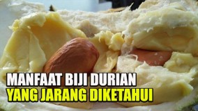 6 Khasiat Biji Durian untuk Kesehatan Pria, Tingkatkan Kesuburan Hingga Bikin si Joni Tambah Perkasa