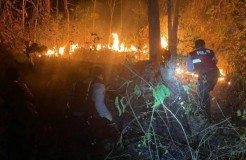 Warga Tak Waras Diduga Pemantik Kebakaran 5 Ha Kebun Jati di Pringsewu
