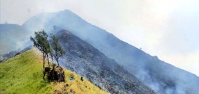 Lihat Faktanya Kemarau Panjang, Cuaca Panas, Kebakaran Terjadi Dimana-mana di Jawa Timur