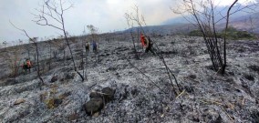 Kebakaran Huta di Gunung Arjuno Terus Meluas, Pemadam Akan Menggunakan Water Bombing