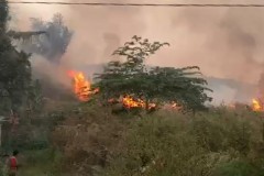 Kebakaran Semak-Semak 30 Ha di BL Siang hingga Malam Masih Pemadaman