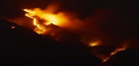 Lagi Kebakaran Hutan Gunung Lawu Bagian Utara, Masuk Wilayah Kabupaten Ngawi dan Karanganyar