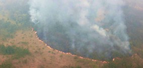 Kebakaran Gunung Arjuno dan Bromo, Bupati Pasuruan Minta Penambahan Pemadaman Dengan Water Boming