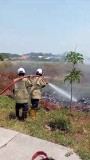 Antisipasi Kebakaran, Pemkot Semarang Ajak Masyarakat Tidak Bakar Sampah dan Ilalang