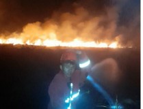 Lahan Semak Terbakar 1 Ha Dekat Pantai Baturame Kalianda