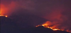Luasan Wilayah Kebakaran Gunung Lawu Mencapai 1.990 hektar, Belum Ada Laporan Satwa Liar Turun Gunung