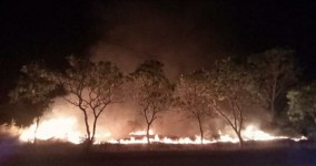 Dalam 24 Jam Akhir Pekan Ini, 4 Kebakaran Lahan di Balam