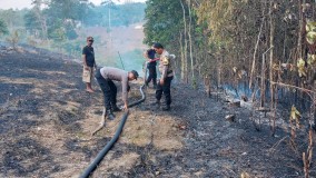 Lahan 2 Ha Terbakar di Tiyuh Panaragan, Tulangbawang Tengah
