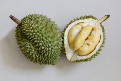 Bikin Mabuk hingga Muntah, Inilah Efek Samping Makan Durian Terlalu Banyak