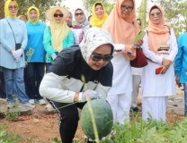 Ketua TP PKK Provinsi Lampung Perdana Buah dan Sayur di PKK Agropark