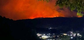 Kebakaran Gunung Lawu Semakin Meluas Mengarah ke Sendang Panguripan Cemoro Sewu, Petugas Damkar Siaga di Bawah