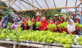 Harga Cabai Naik, Wali Kota Semarang Ingatkan Masyarakat Pentingnya Urban Farming