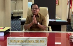 Mingrum Gumay Mengapresiasi Wakil Gubernur Lampung Chusnunia Chalim