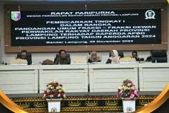 Dikongek PDIP Lampung Berjaya Hanya Ilusi, Golkar Bilang Jangan Parsial