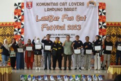Pemkab Lambar dan Cat Lovers Beri Edukasi Lewat Fun Cat Festival