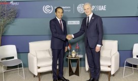 Adakan Pertemuan dengan PM Norwegia, Presiden Jokowi Bahas Lingkungan Hidup hingga Situasi di Gaza