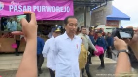 Presiden Jokowi Pastikan Cadangan Beras Aman, Harga di Pasaran Tetap Terkendali