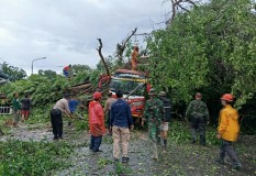 Diterjang Hujan Deras dan Angin Kencang, Pohon Tumbang Timpa Warung Makan dan Bus di Wonogiri 