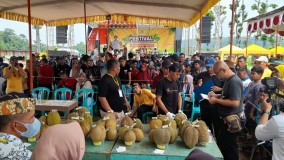 Festival Durian Kebongembong, Upaya Tingkatkan Potensi dan Agrowisata