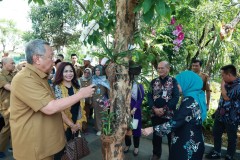 Pohon Anggrek Jadi Ikon Kota Tangerang Selatan