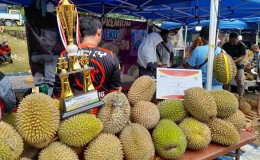 Festival Durian Gunungpati 2024, Wisata Durian dan Serunya Atraksi Kuda Lumping