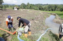 Hindari Ancaman Krisis Pangan, Mentan Ajak Dinas Pertanian Seluruh Indonesia Turun Ke Sawah