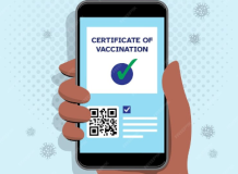 Cara Melihat Sertifikat Vaksin Online Tanpa Aplikasi