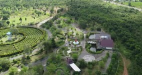 Mengeksplorasi Keajaiban Alam di Kebun Raya Banua Kota Banjarbaru 