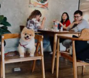 Rekomendasi Pet Friendly Café Bandung: Serunya Hangout Bareng Anabul