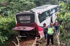 Bus muatan 18 orang di Lampung Barat Terjun ke Jurang sedalam 50 Meter, ini Penyebabnya