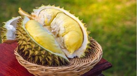 Pecinta Durian? Wajib Coba 10 Makanan Olahan Durian Berikut Ini!