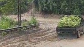 Longsor di Jalan Batulicin-Kandangan KM 73 Lumpuhkan Arus Lalu Lintas