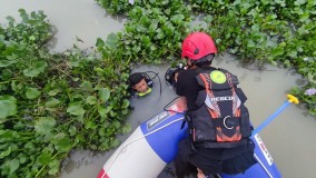 Warga Banjarnegara Diduga Tenggelam di Waduk Mrica, Proses Pencarian Terkendala Eceng Gondok