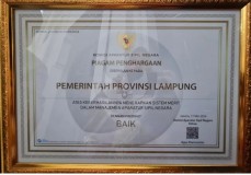 Pemprov Lampung Raih Penghargaan Atas Keberhasilan Penerapan Sistem Merit Dalam Manajemen ASN
