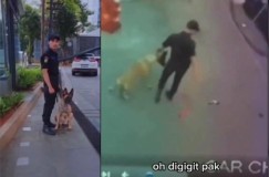 Klarifikasi Satpam Plaza Indonesia yang Pukul Anjing di Pinggir Jalan, Karena Gigit Anak Kucing