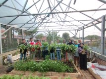 Jaga Ketahanan Pangan di Kota Semarang, Lahan Tidur Diubah jadi Urban Farming