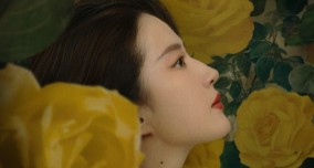 Nonton Drama China The Tale of Rose Full Episode Sub Indo