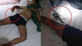 VIRAL Video ! Ular Cobra Masuk Kedalam Celana Boxer Pria Saat Sedang Tertidur, Warganet Salut Pada Sang Pria yang Bisa se-Tenang itu