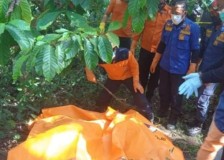 Hendak Memetik Kopi, Temukan Mayat Laki-laki Membusuk di Kebun PTPN 1 Regional 3 Blok Gembol Bawen